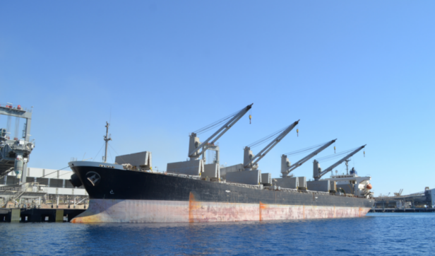 Jordan Phosphate Company enters the US market by exporting the largest fertilizer ship since the company’s establishment